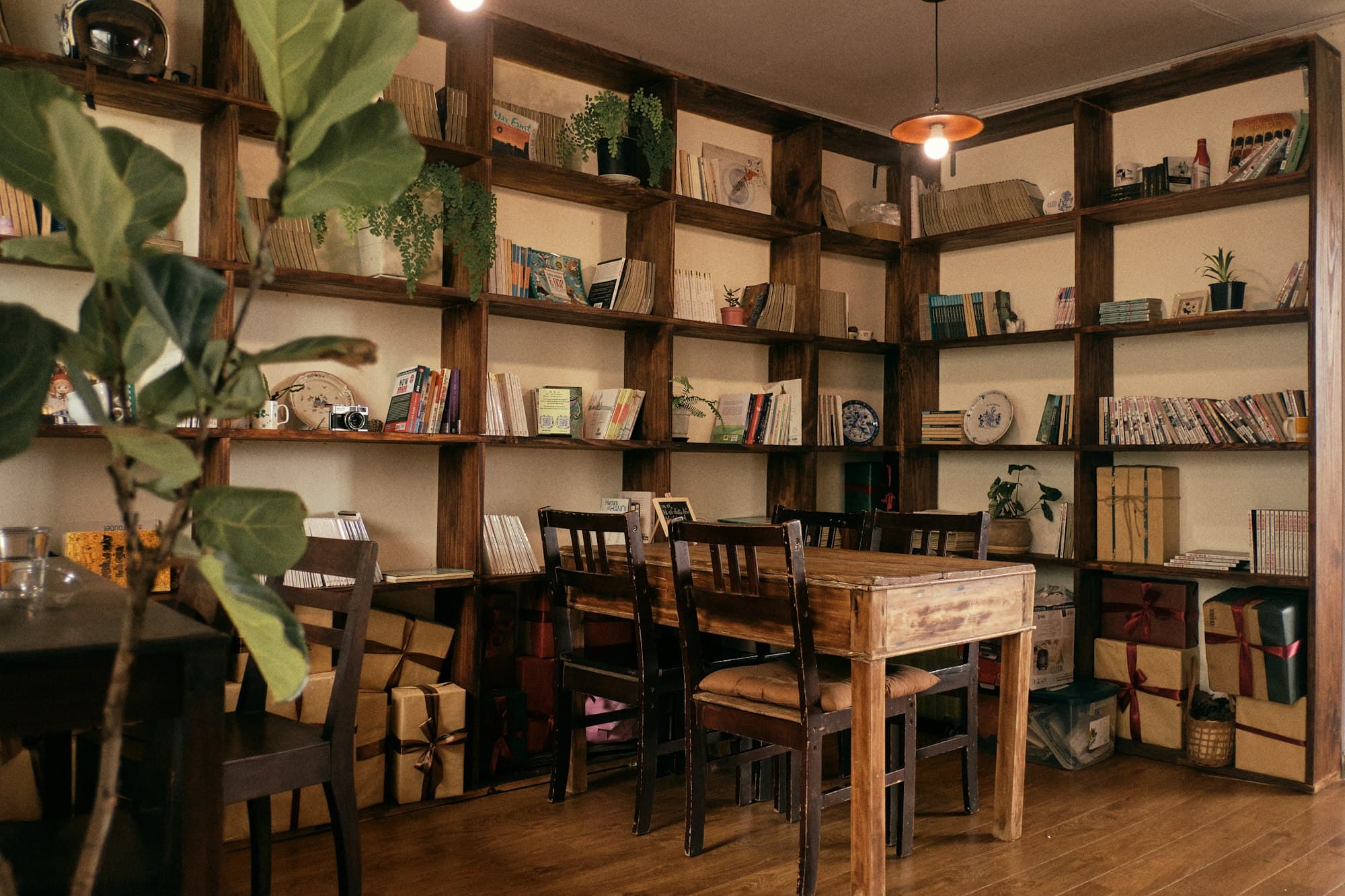 A cozy book café with wooden shelves, plants and reading tables.